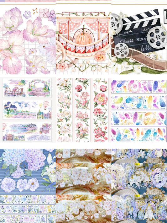 Buy 10 get 1 more！Loop Tape PET Style Pretty Stickers/Carlyshop TikTok live order link